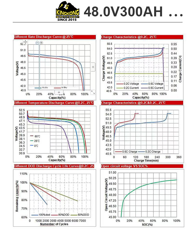 Custom Solar Lfp Battery 48V Volt 100Ah 200Ah 300Ah Lifepo4 10Kwh 15Kwh 5Kw Batteries Lithium Battery Packs On Wheels Case
