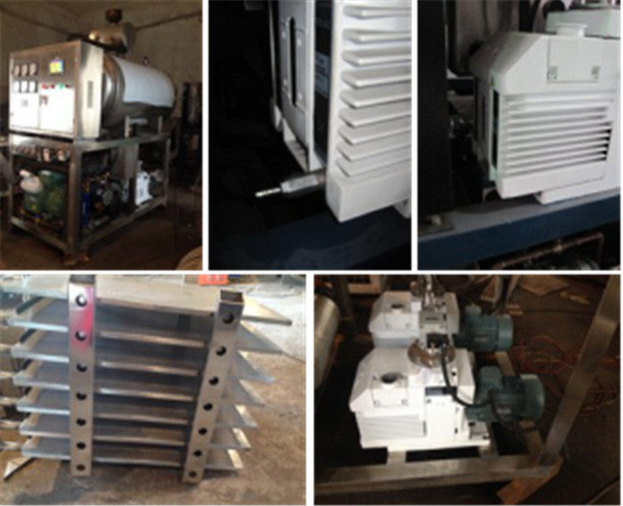 Fruits Vegetables 10m2 Vacuum Freeze Drying Machine