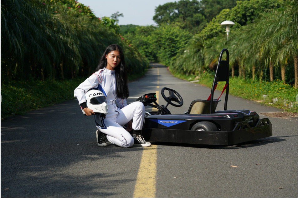 Remote Control 10.5Nm Fast Electric Go Kart For Adults 3 Forward Gears