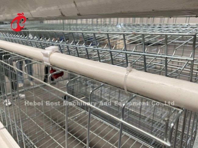 Feeding Trough Of Chicken Poultry Farming Cage System In Nigeria Ghana Zambia Cameroon Farm Doris