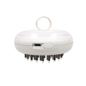 Quality CE ROHS SPA 3 Levels Hair Care ION Electric Massage Comb wholesale