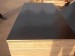 black/brown film faced plywood 12,15,18mm poplar core from China