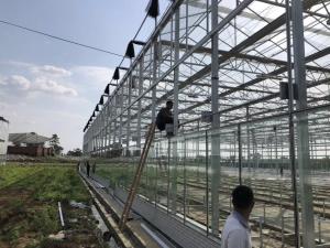 Quality Agricultural / Industrial Garden Greenhouse For Vegetables / Mushrooms / Flowers wholesale