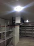 Container Cold Room Cold Storage for Frozen Food Meat State-of-the-Art