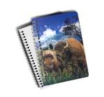Office PET/PP 3d Lenticular Image Jotter A5/A6 Size 3d Animal Pictures