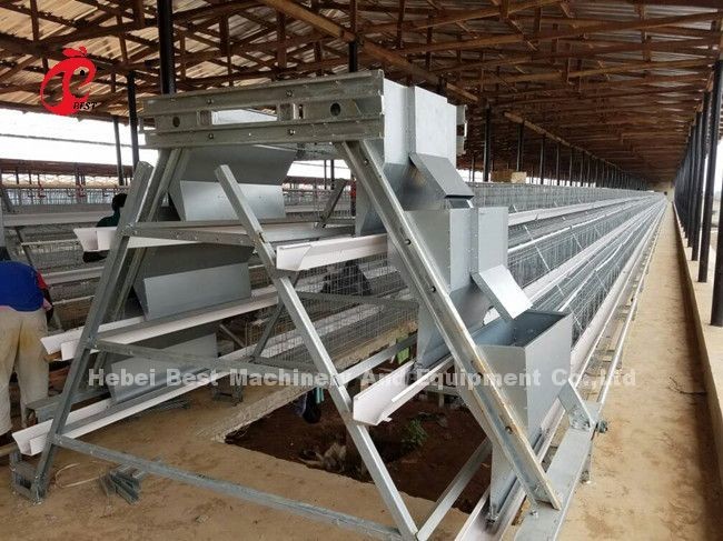 Advanced Poultry Farming Cage System With Automatic Nipple Drinkers Emily Wang