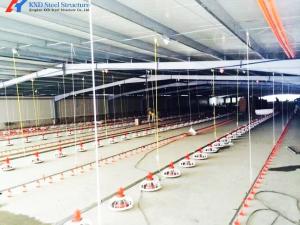 Quality Automatic Broiler Poultry Equipment Plastic Poultry Farm Feeding System wholesale