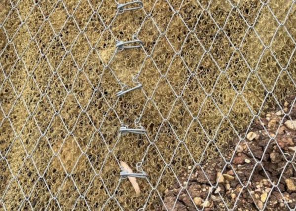 Cheap G65/3/3.5 Tecco Mesh Rock Netting Slope Protection Anti Corrosion for sale