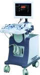 Echography Medical Ultrasound Machine 3D 4D Digital Ultrasonic Diagnostic