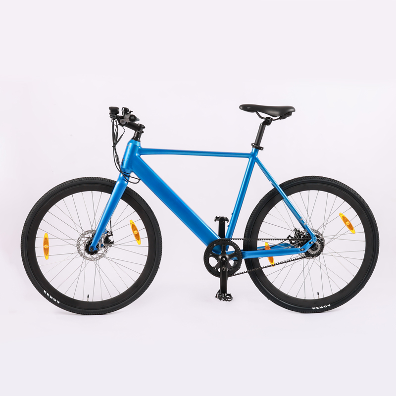 Multicolour Aluminum Alloy Frame Electric Bike for Trafficway Commuting on Highway Roads