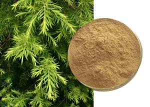 Quality Natural Agricultural Cosmetics Artemisia Annua Extract wholesale