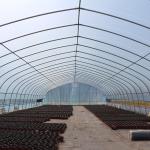 Top Ventilation Window Vegetable Hoop Green House Single Span Greenhouse Film