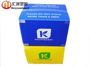 Quality Printable Collapsible Custom Corrugated Plastic Boxes wholesale