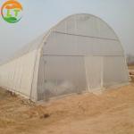 Design Greenhouse with Film Delivery Within 30 Days After Payment Designable