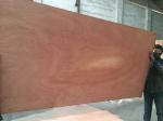 Mexico market sapele plywood high quality