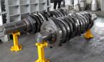 Initial Crushing Wood Pellet Machine Parts For Biomass Pellet Plant Wood