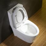 Fully Glazed Trapway Elongated CUPC Toilet For Small Space Slow Down Seat Cover