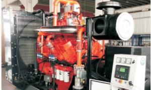 Quality 600kW Natural Gas Generator Set Water Cooling 230/400V wholesale