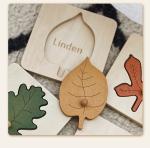 Montessori Leaf Grasping Board Early Childhood Education