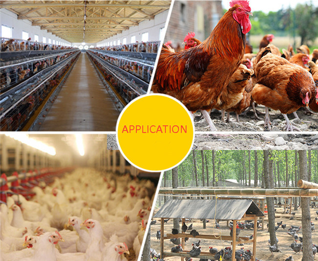 Yellow Trigger Poultry Water Drinkers Chicken Waterer Cups