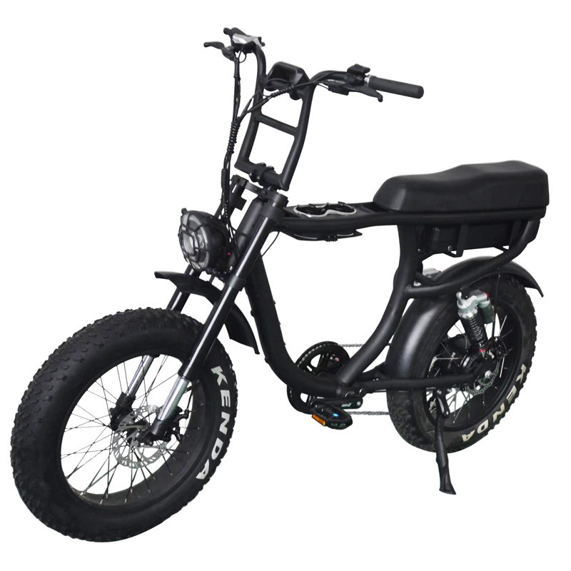 1000W Dual Battery Step Through Electric Retro Motorcycle Fat Bike with 80-90 Nm Torque