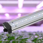 Samsung Beads Cucumber T8 Grow Light Tubes Waterproof 60w Led Grow Light