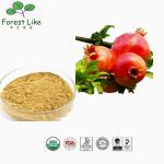 Ellagic Acid / Gallogen 40 % - 90 % Pomegranate Peel Extract