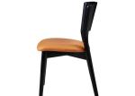 Fashion Wood And Upholstered Dining Chairs Restaurant Modern