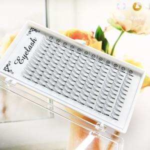 Quality 3D 4D 5D 6D 7D 8D 10D Premade Volume Fans Lashes 8-20mm Length 0.07mm 0.10mm wholesale