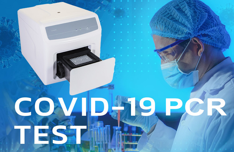 Automatic Real Time PCR Thermal Cycler Machine ODM PC Controlled