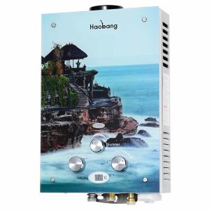 Quality 6L Instant Gas Water Heater Household Painting Glass Panel wholesale