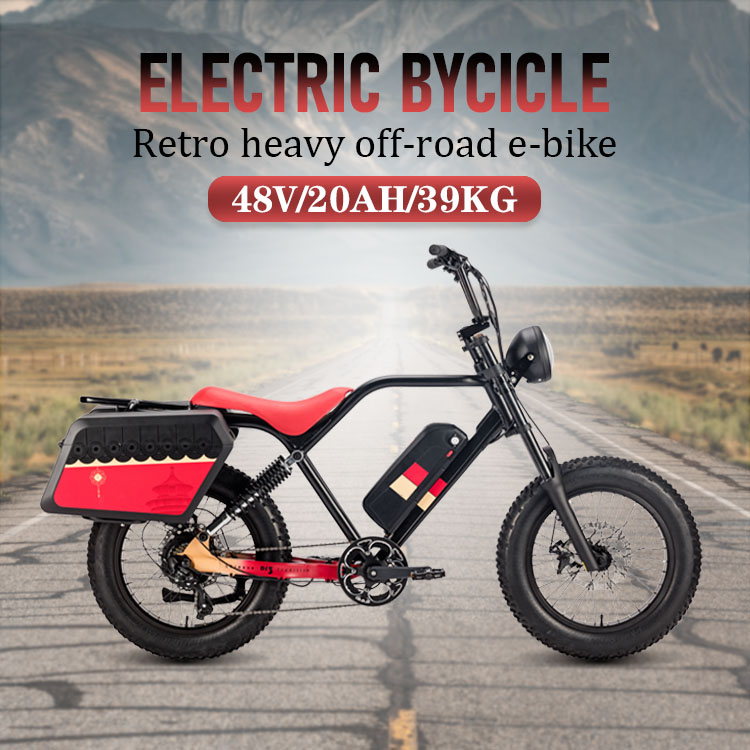 250W 750w Elektrische Fiets Bicycle Battery 48v 20AH Fat Tire For Adults