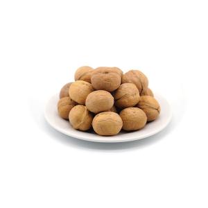 Quality China nut manufacturer wholesale 185/33/xin2 and other high quality organic walnuts wholesale