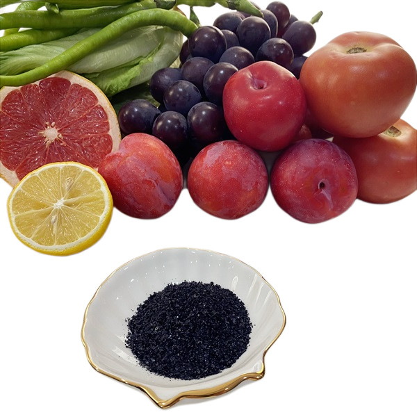 80% Humic Acid And 12% K20 Water Soluble Fertilizer Potassium Humate