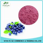 100% Natural Fruit Dried Blueberry Powder