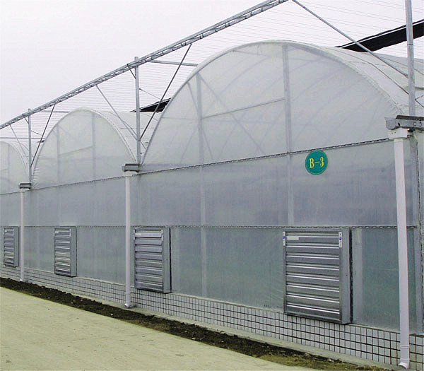 Easy Assemble Tomato Plant Greenhouse Gutter Height 3.0-6.0m Hanging Load 0.15KN/M2