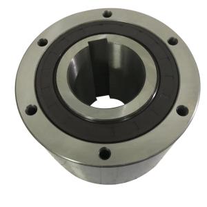 Quality one way clutch cam clutch MG600/MI600 mechanical clutch Indexing clutch wholesale