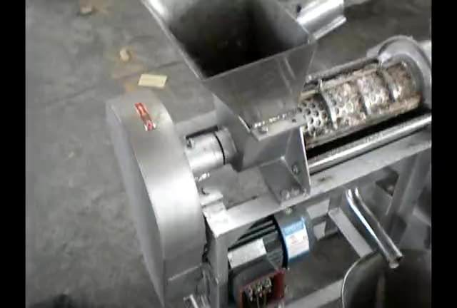 High Quality Commercial Fruit Juice Making Machine Industrial Cold Press Juicer Extractor Machine