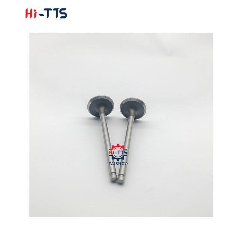 Diesel Engine Valve S4D102 S6D102 Intake and Exhaust Valve 6732-41-4210 6732-41-4110