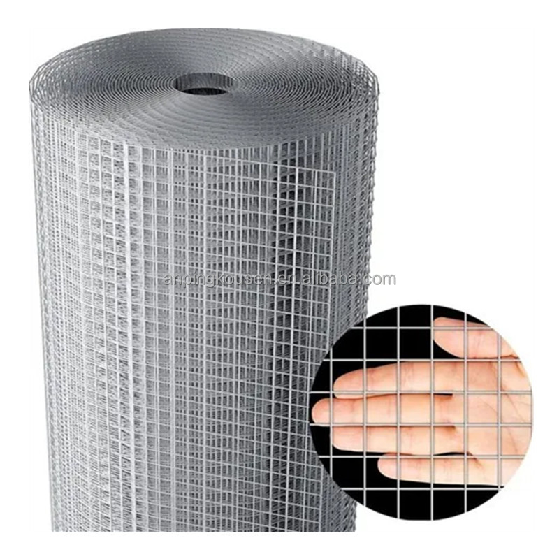 0.4-2.5m Width 1/4 Inch Hot Dipped Galvanized Welded Wire Mesh with 2-5mm Wire Gauge