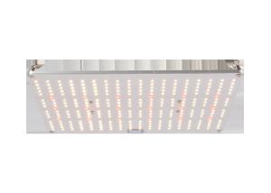 Quality Top Quality Driver QB288 100W Quantum Board Led Grow Lights wholesale