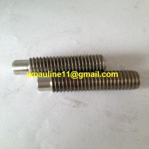 Quality A193 B8C dog point socket screws AISI347 wholesale