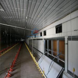 Quality Poultry Farm Steel Structures , Q235 Q345 Steel Cattle Buildings wholesale