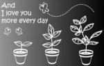 The Beautiful Spring PVC Transfer Film Wall Sticker B041