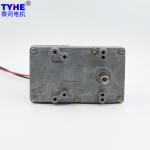Small 12V 24V PMDC Flat Gear Motor Reducer DC Motor Double Shaft