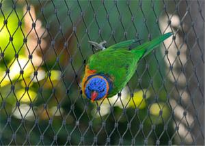 Quality Durable Parrot Aviary Mesh Stainless Steel High Strength Long Service Life wholesale