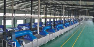 Quality Pasta Noodle Making Machine Commercial Type Cup / Plastic Bag Noodle Packing wholesale
