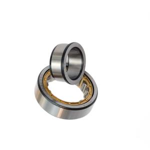 Quality Single Row ECP Nj 204 Bearing Single Row Cylindrical Roller 20x47x14mm NJ204ECM wholesale