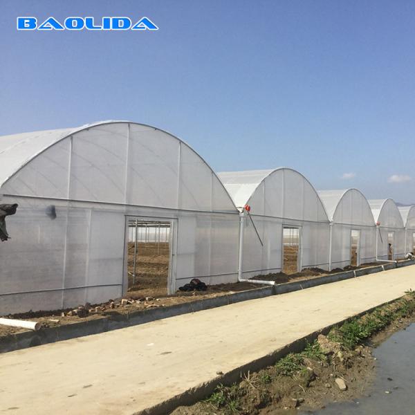 Plastic Film Vegetables Growing Agricultural 200 Micron PE Film Multispan