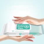 Antibacterial Disinfectant 75% Alcohol Wipes Hand Cleaning Sanitizer